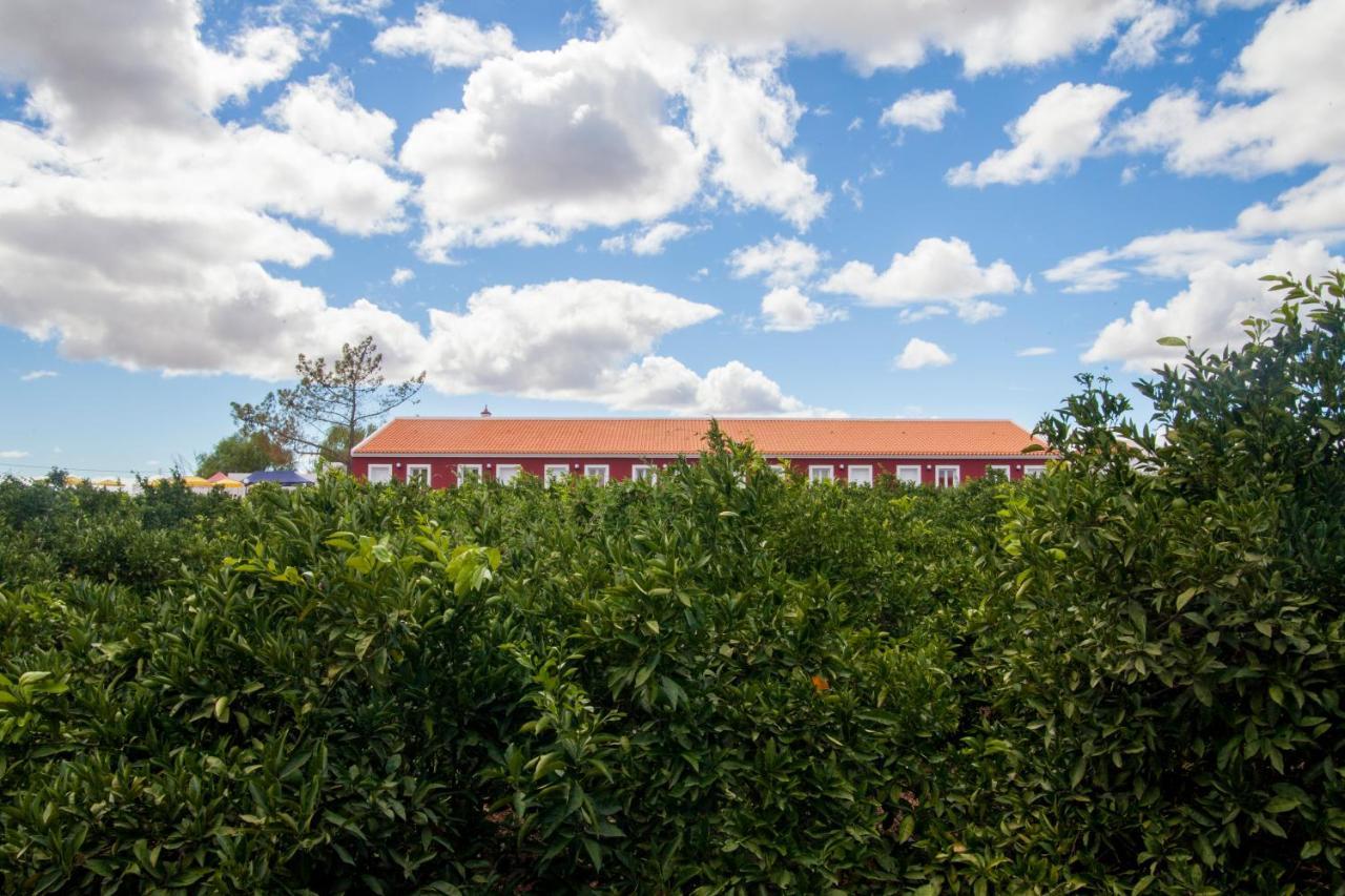 Quinta Dos I'S - Algarve Vila Algoz Exterior foto